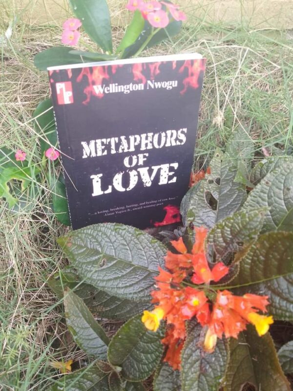 Metaphors of Love by Wellington Nwogu