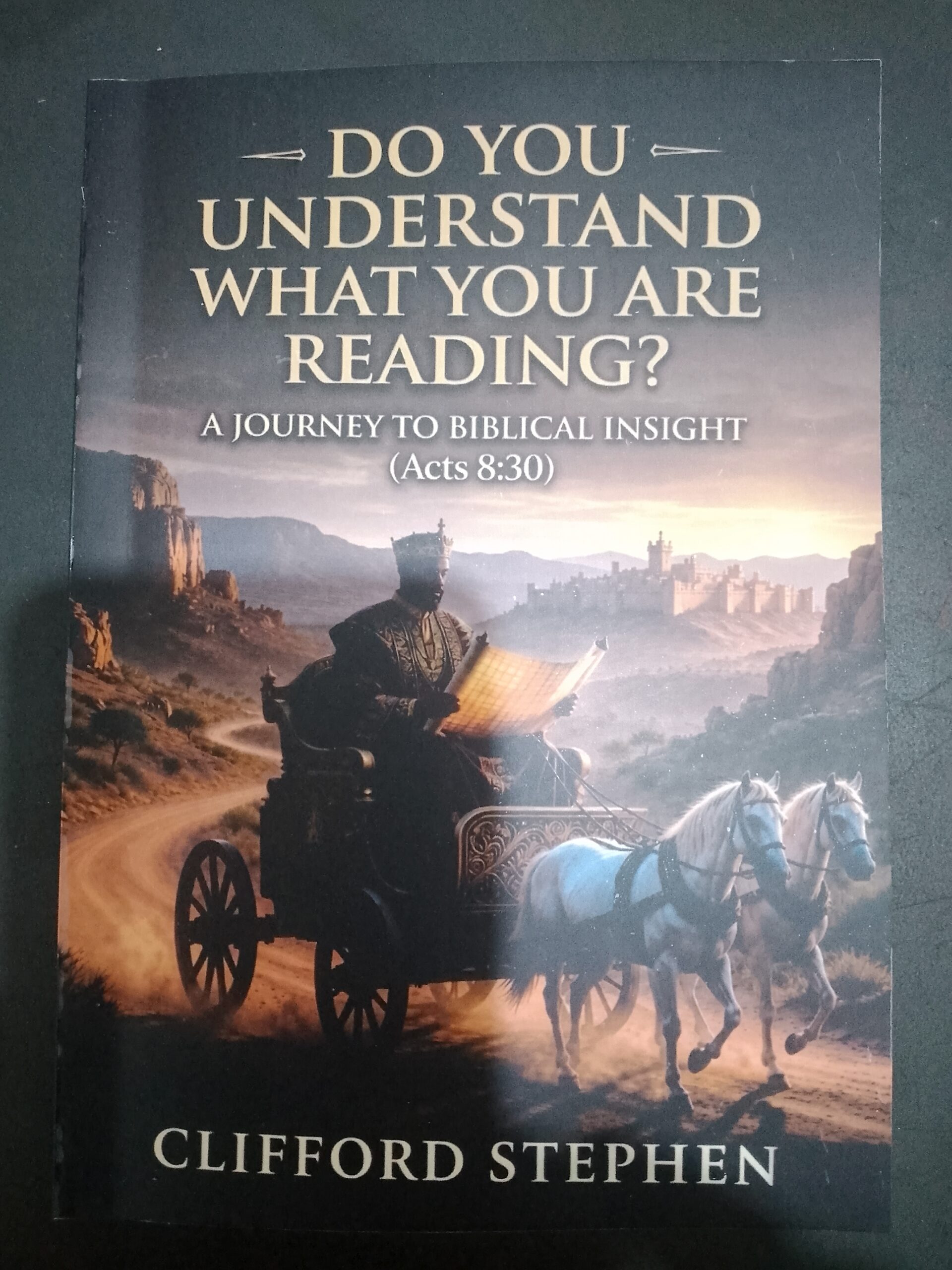 Do You Understand What You Are Reading? by Clifford Stephen